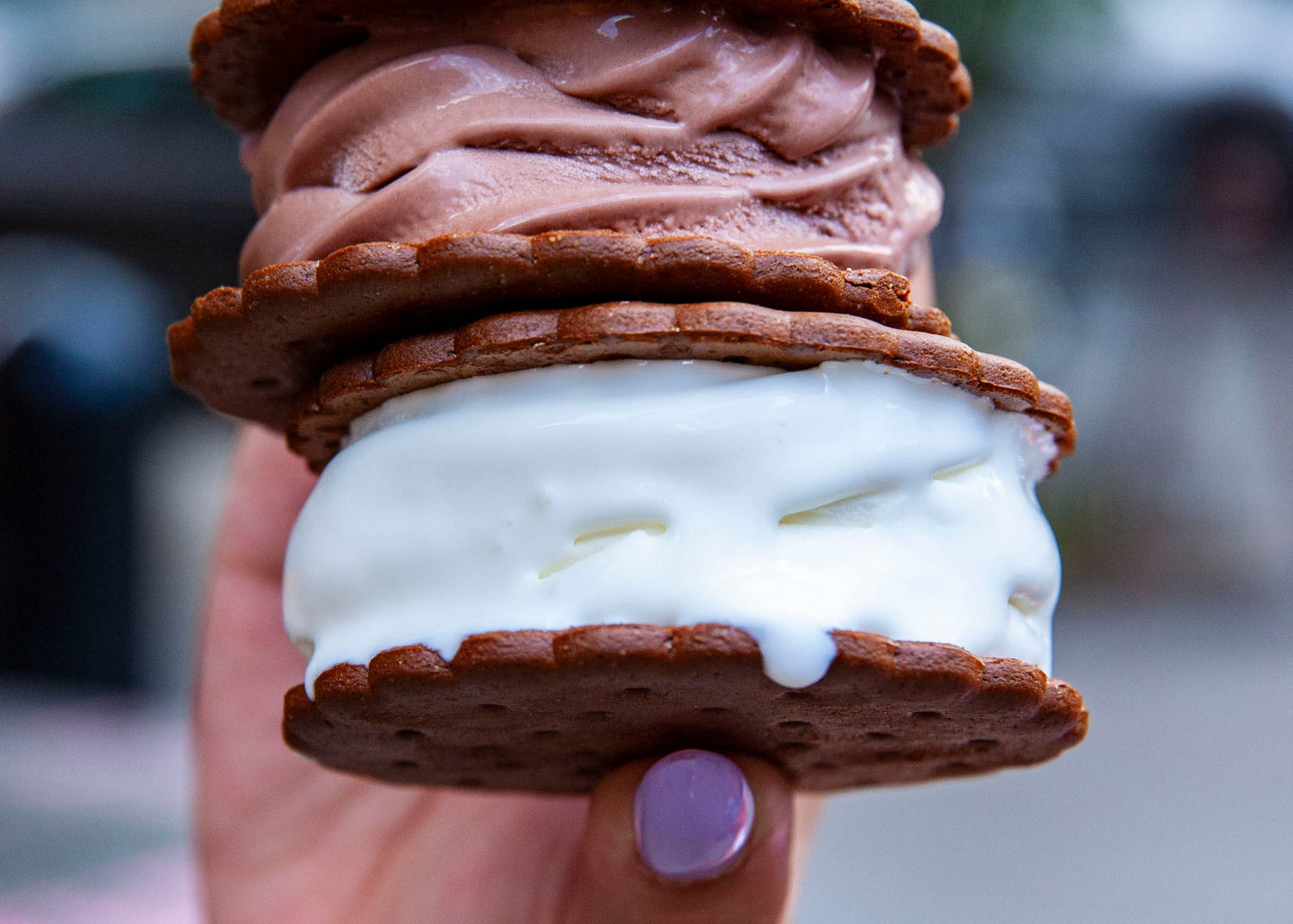 Torico Ice Cream - Bergen Lafayette