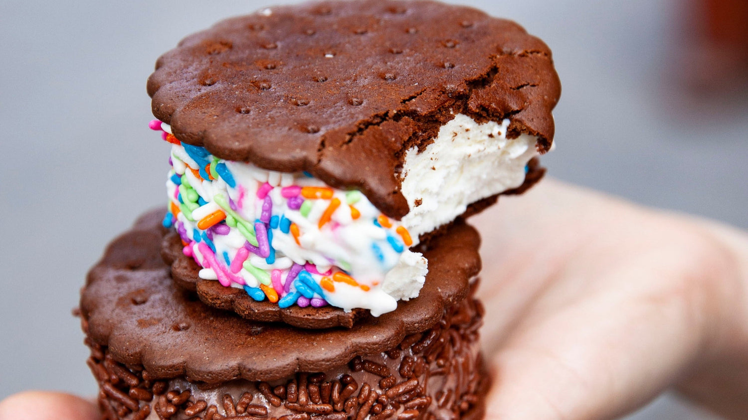 Torico Ice Cream - Bergen Lafayette