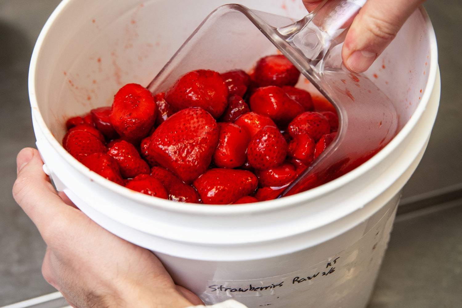 Torico Ice Cream - Bergen Lafayette